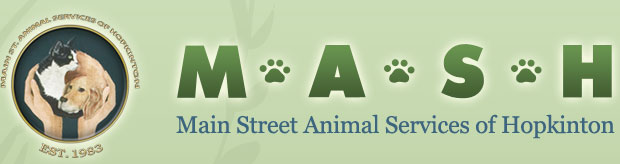 MASH Veterinary Clinic logo
